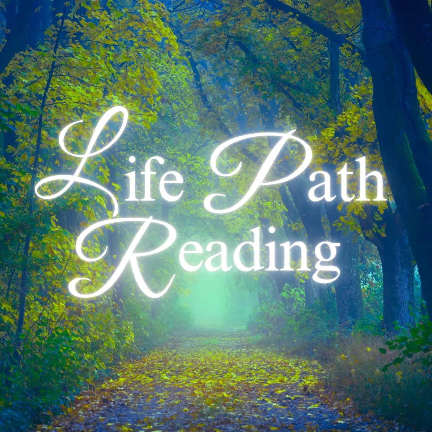 Life Path Reading The Mystic Portal